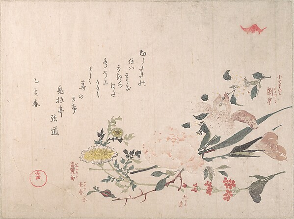 薔薇、菖蒲、桜草、雛菊