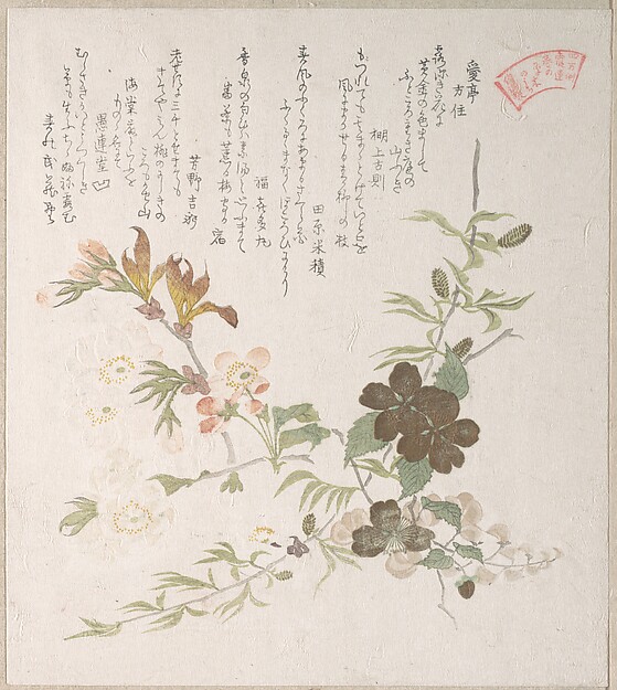 桜と山吹