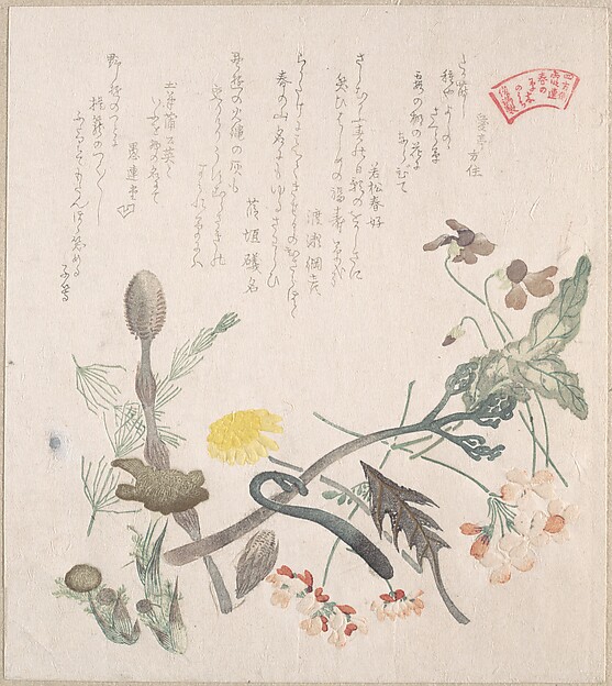 菫、桜草、その他の春の花