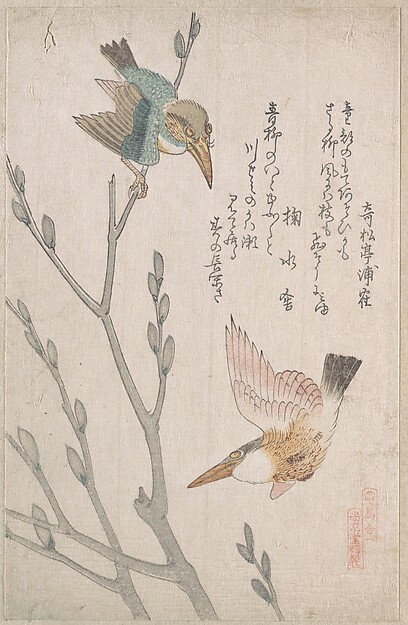 翡翠と猫柳