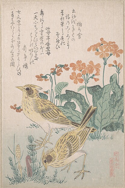 雲雀と桜草（鳥合より）