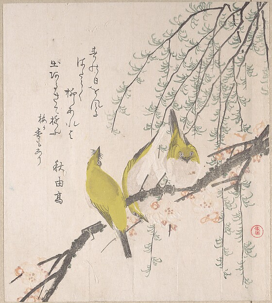 梅と柳に目白（春雨摺物帖・第三巻より）