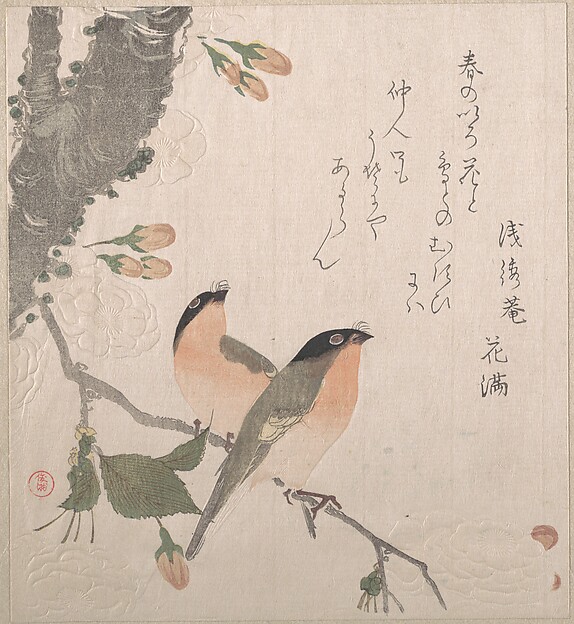 鷽と桜