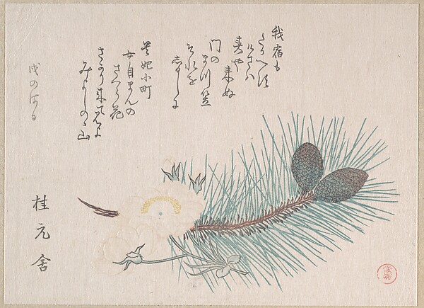 松と桜