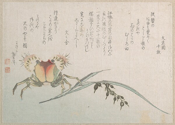 蟹と稲