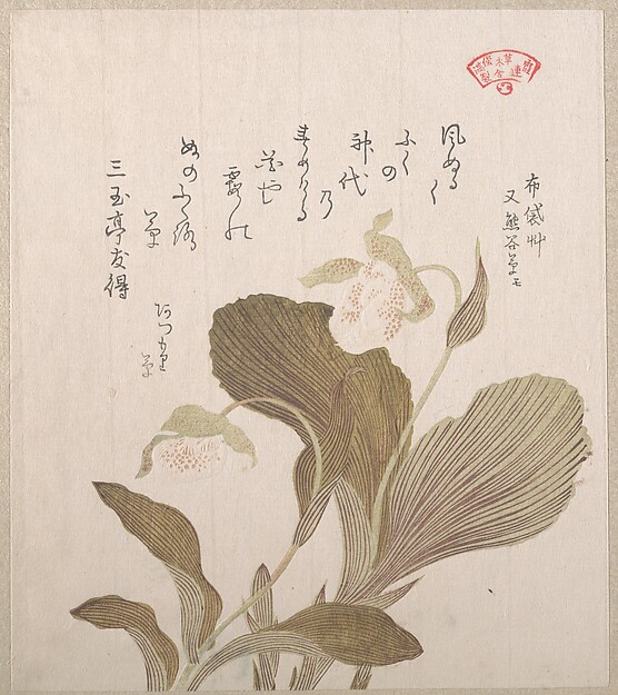 ホテイの花