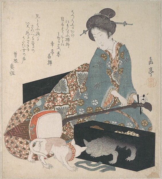 三味線を調える女と自らの姿を映す猫