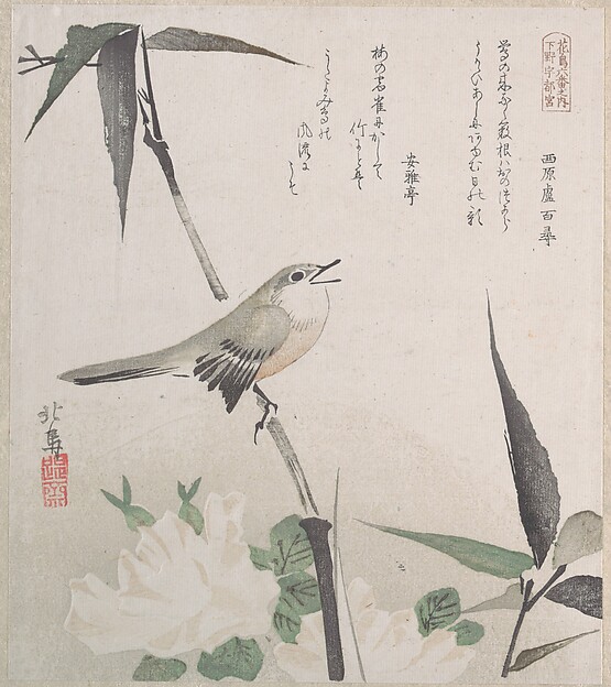 薔薇と竹に鶯
