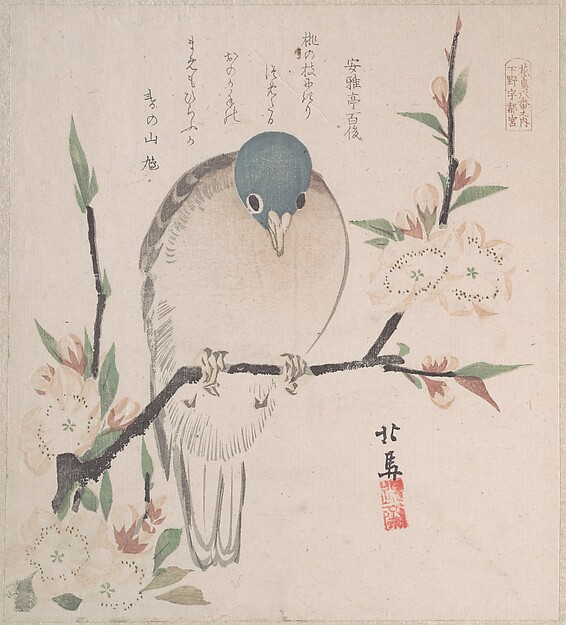 山鳩と桃の花（春雨集　巻三より）