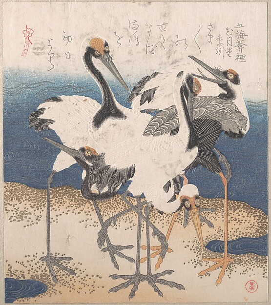 水辺の五羽の鶴（三ひらのうちより）