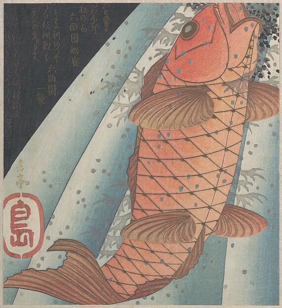滝を登る緋鯉