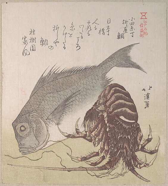 鯛と海老