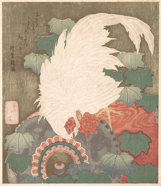 太鼓の上の雄鶏