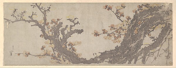 花咲く老梅