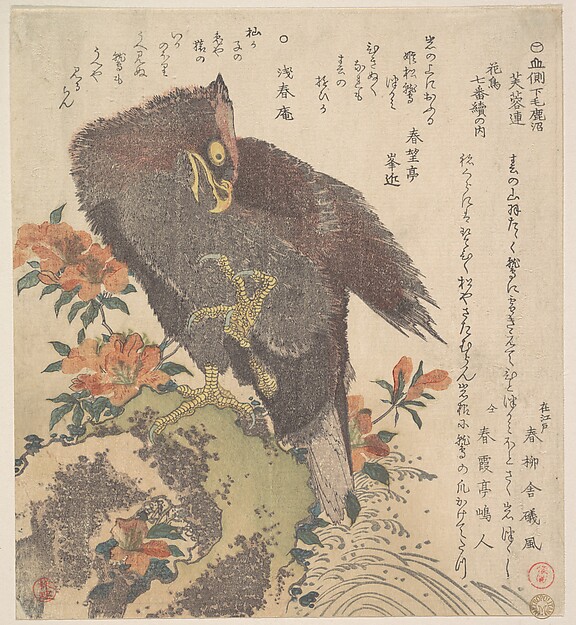 岩上の鷲と咲く躑躅