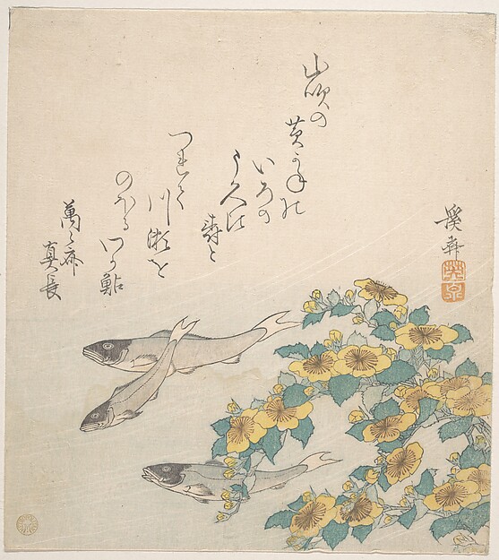 泳ぐ魚と黄色い花
