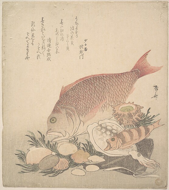 海底の貝と藻の間を泳ぐ大小の魚