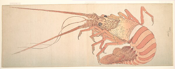 大海老