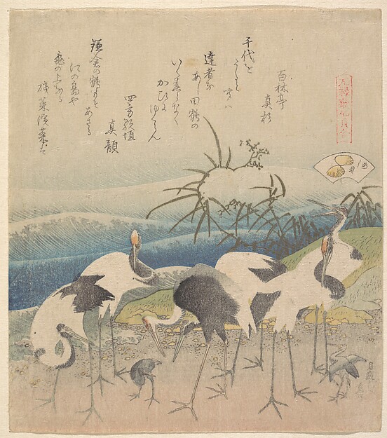 あし貝（元禄歌仙貝合より）