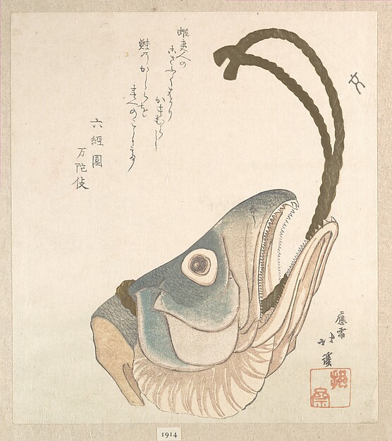 鮭の頭
