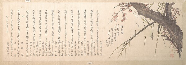 梅の花