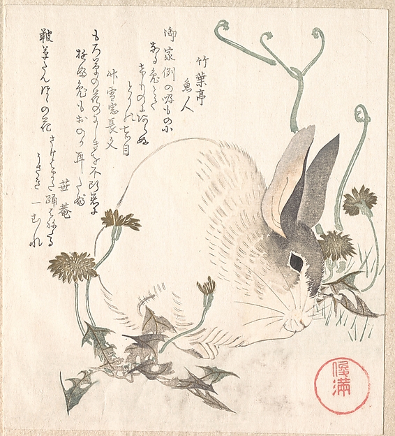 兎と蒲公英
