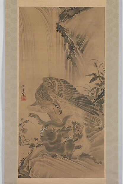 山猫を襲う鷲