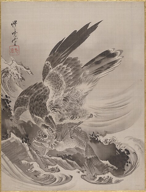 魚を襲う鷲