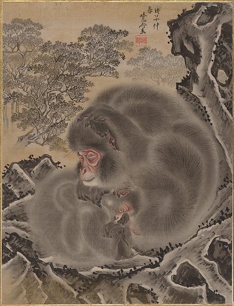 猿