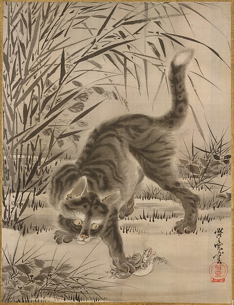 蛙を捕らえる猫