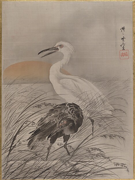 沼の鶴