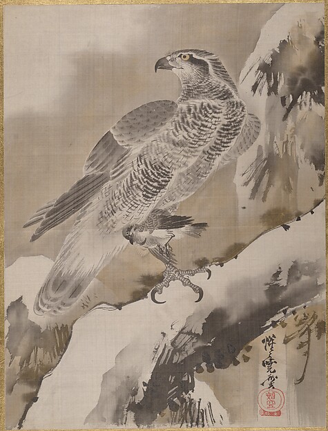 小鳥を掴む鷲