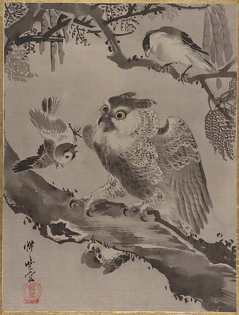 小鳥に囃される梟