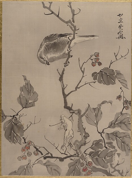 鳥と蛙