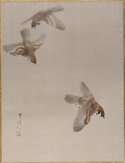 飛ぶ雀