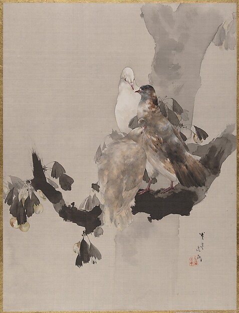 樹上の鳩