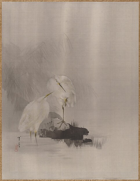 水辺の白鷺