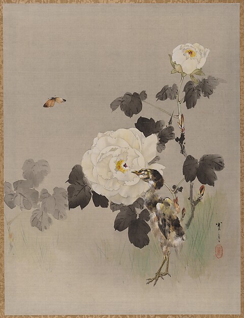 薔薇と雛鳥と蝶