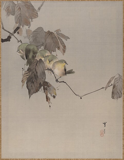 枝の上の鳥