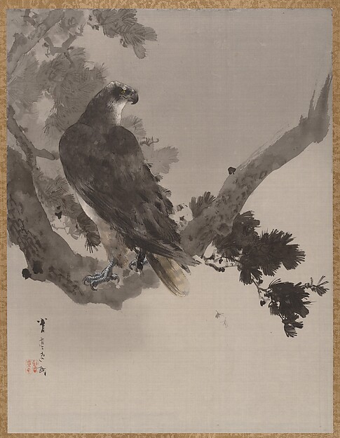 樹上の鷲