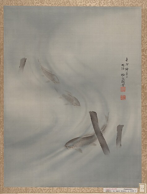 泳ぐ魚