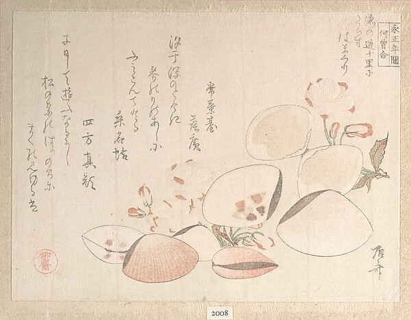 桜と貝