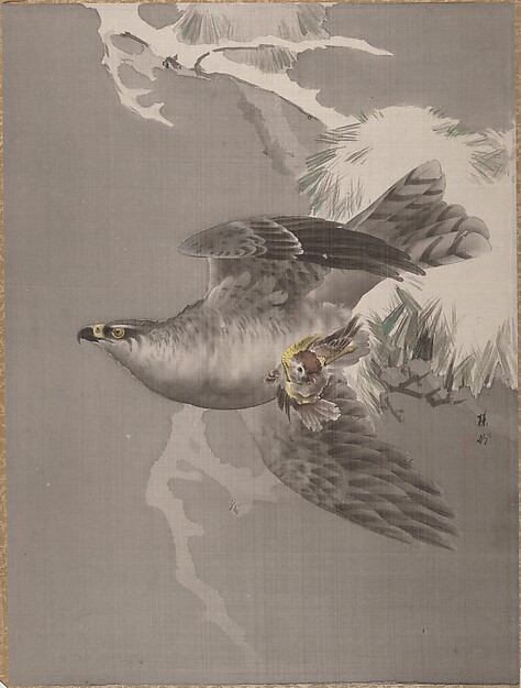 小鳥を捕らえた鷹