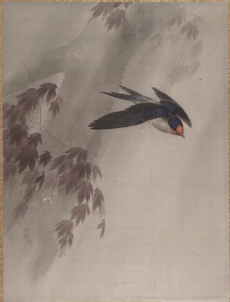 雨中の燕