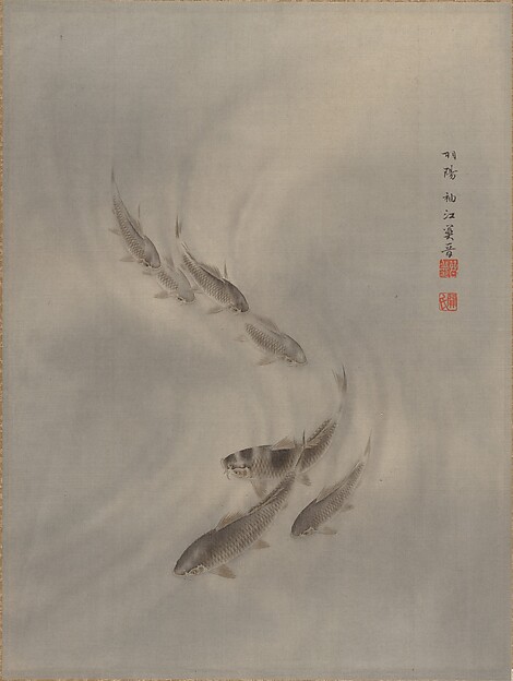 魚の群れ