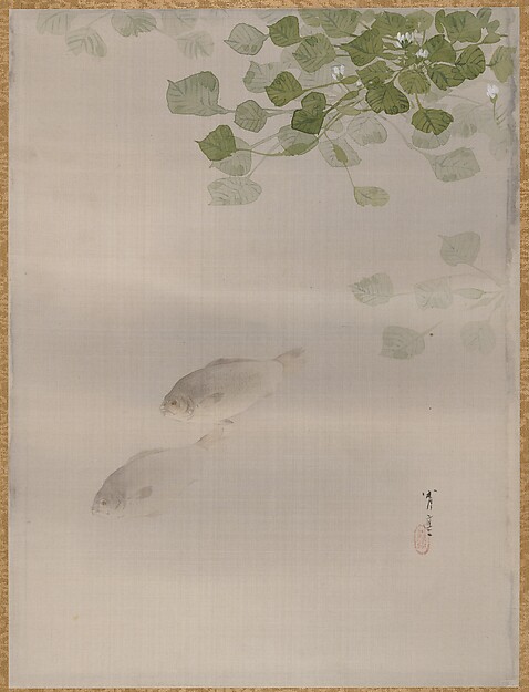 魚