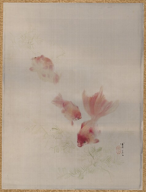 金魚
