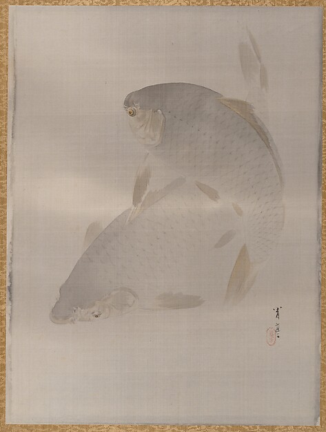 泳ぐ鯉