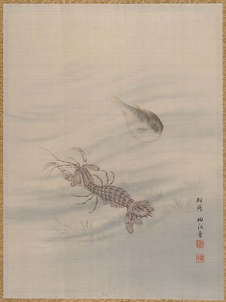 海老のいる海底
