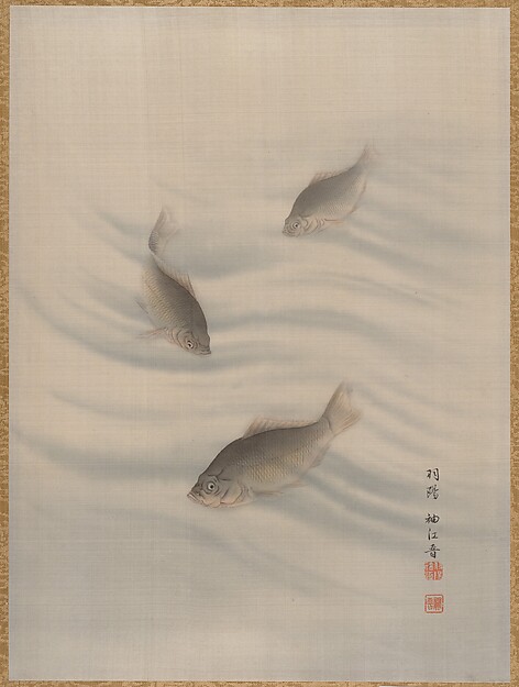 泳ぐ魚